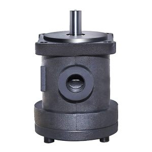 bombas de paletas de cilindrada fija